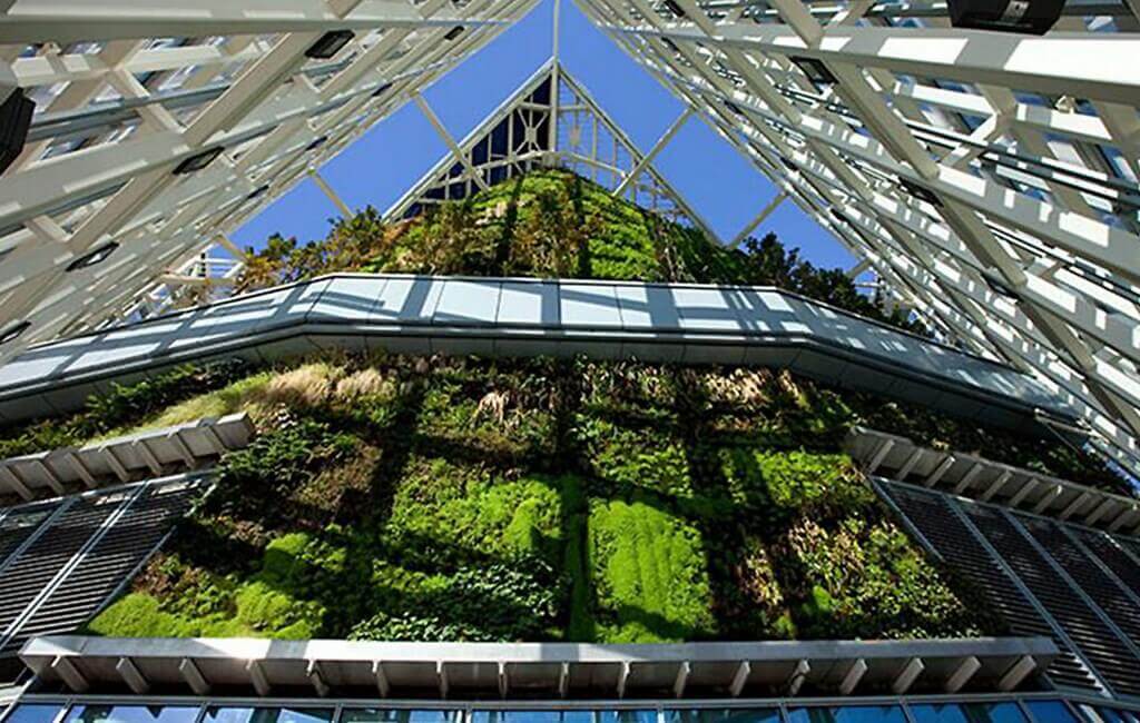 В 2019 году в валенсийском районе Беникалап (Benicalap) планируется осуществить строительный проект домов с вертикальным садом и живыми цветочными галереями.