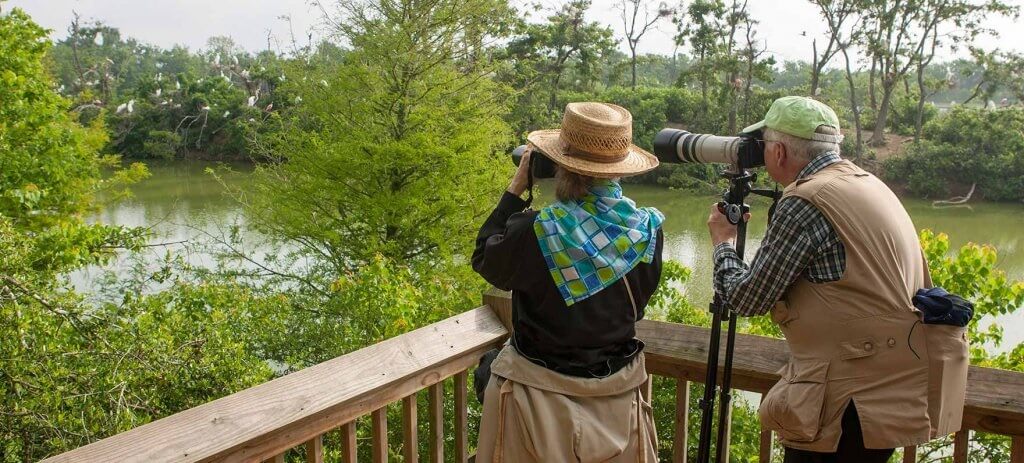 Наблюдение за птицами, или «бёрдвотчинг» (от англ. Birdwatching), или «бёрдинг» (birding «птичничество») – вид туризма, заключающийся в наблюдении за птицами.