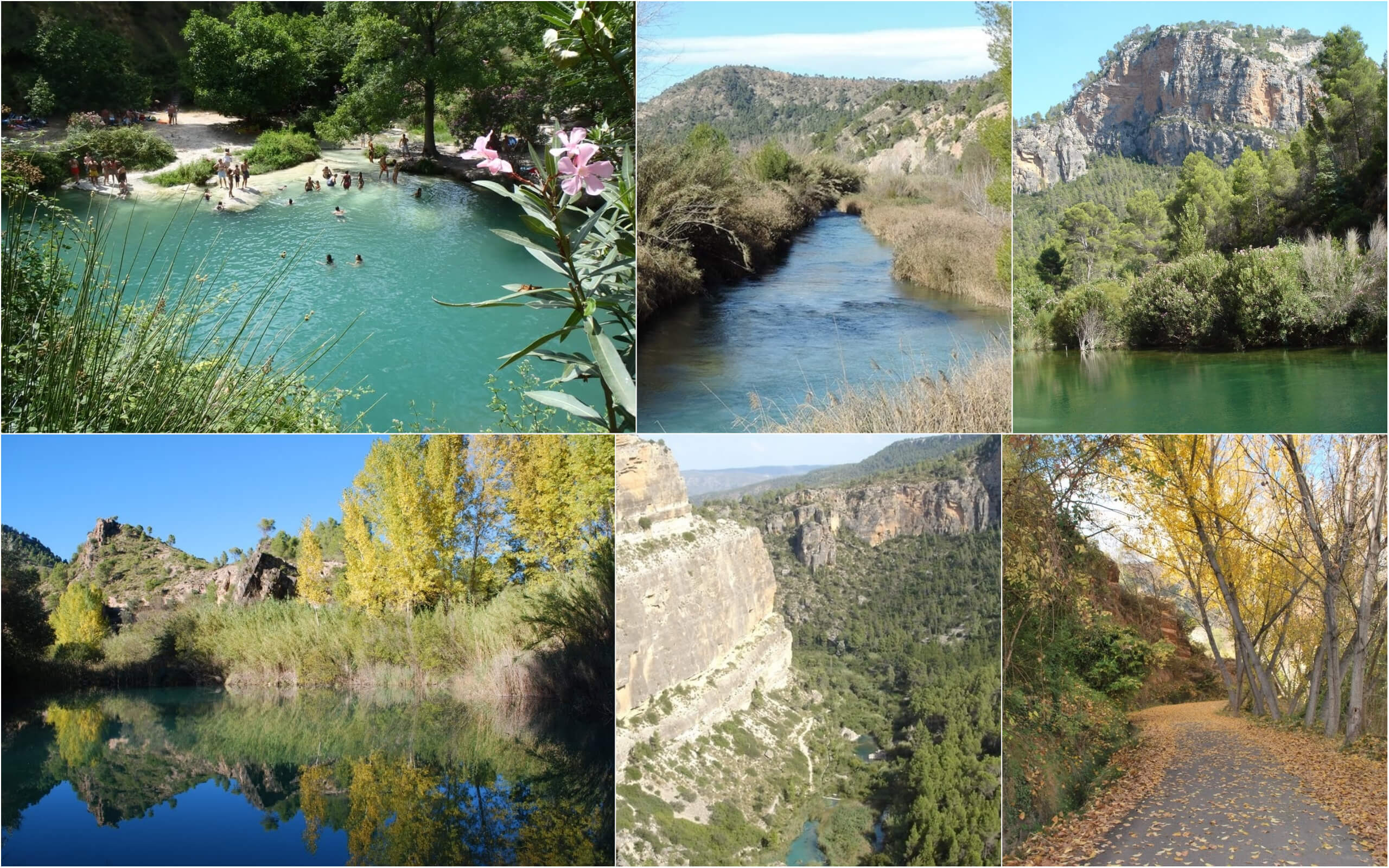 Prirodniy-park-v-gorode-Valensiya-Ispaniya
