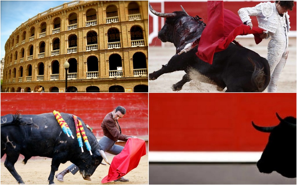 9 октября 2019 года в честь Дня Валенсийского Сообщества на Арене для корриды в Валенсии (Испания) состоится праздничная коррида с участием лучших тореадоров.