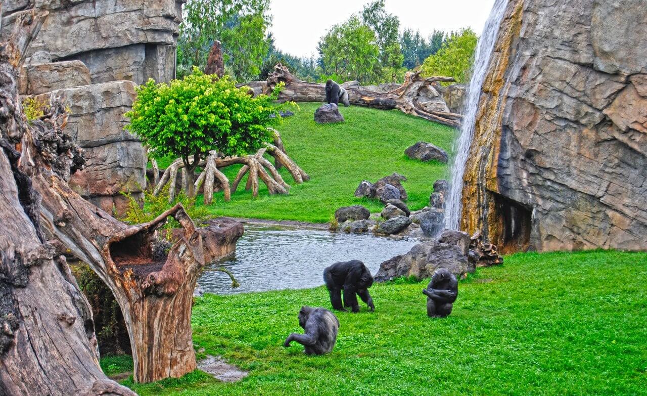 БиоПарк - зоопарк в городе Валенсия