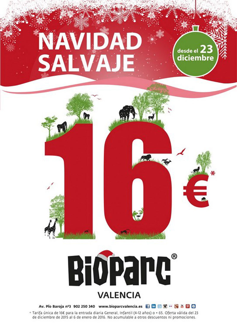 Новогодние мероприятия в валенсийском зоопарке Bioparc