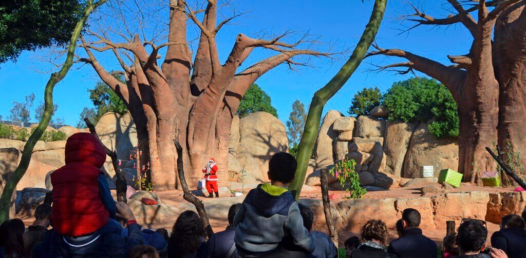 В дни Рождества и Нового года зоопарк Валенсии Bioparc предлагает программу для детей и их родителей, которая в игровой форме расскажет о природе и фауне Африки