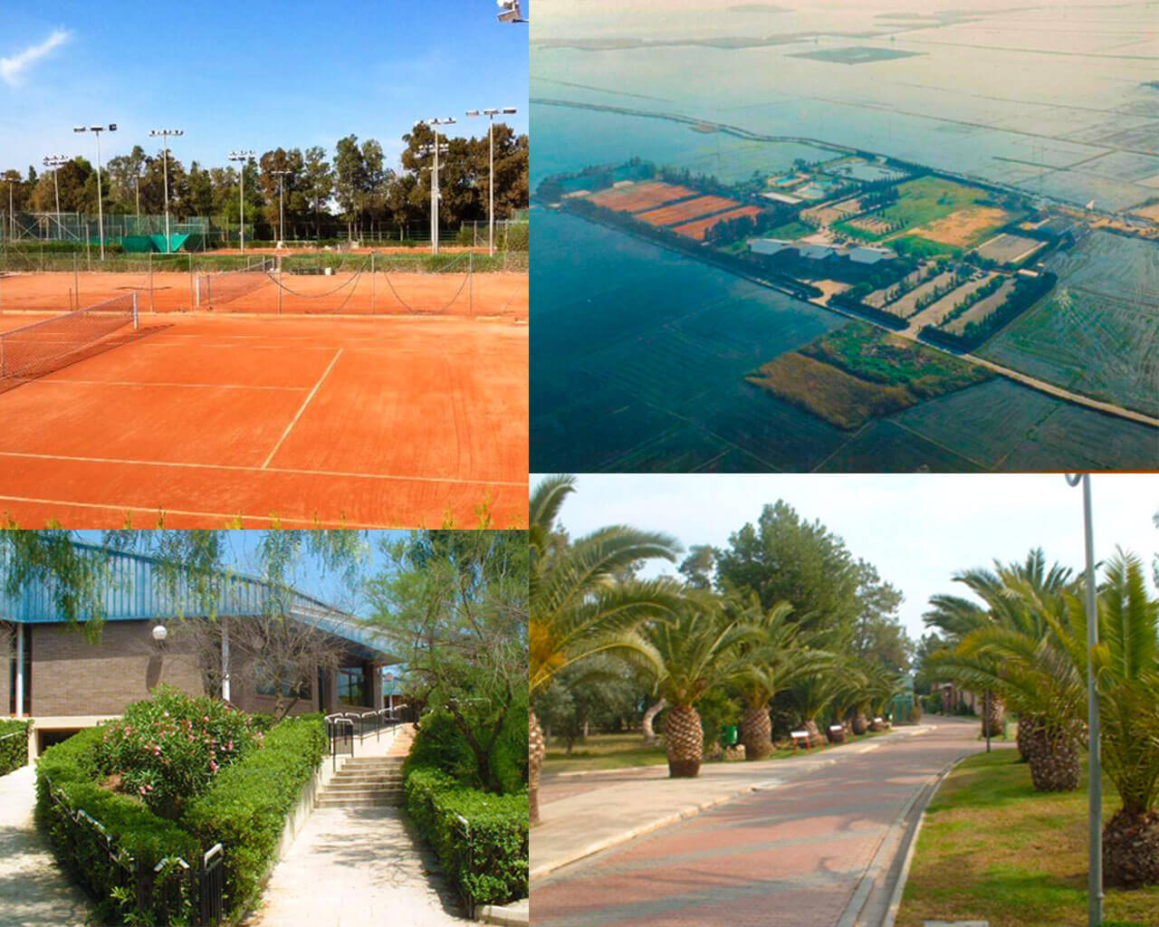 Теннисная школа в городе Валенсия, Академия тенниса в городе Валенсия, Тиннис в Валенсии, Заниматься теннисом в Валенсии