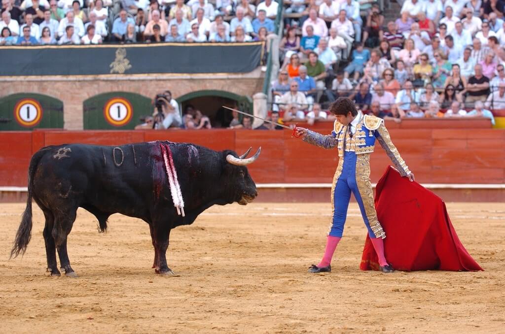 Коррида, или бои быков (los toros), является настоящей визитной карточкой Испании, поэтому, будучи в Валенсии, обязательно сходите на это уникальное зрелище