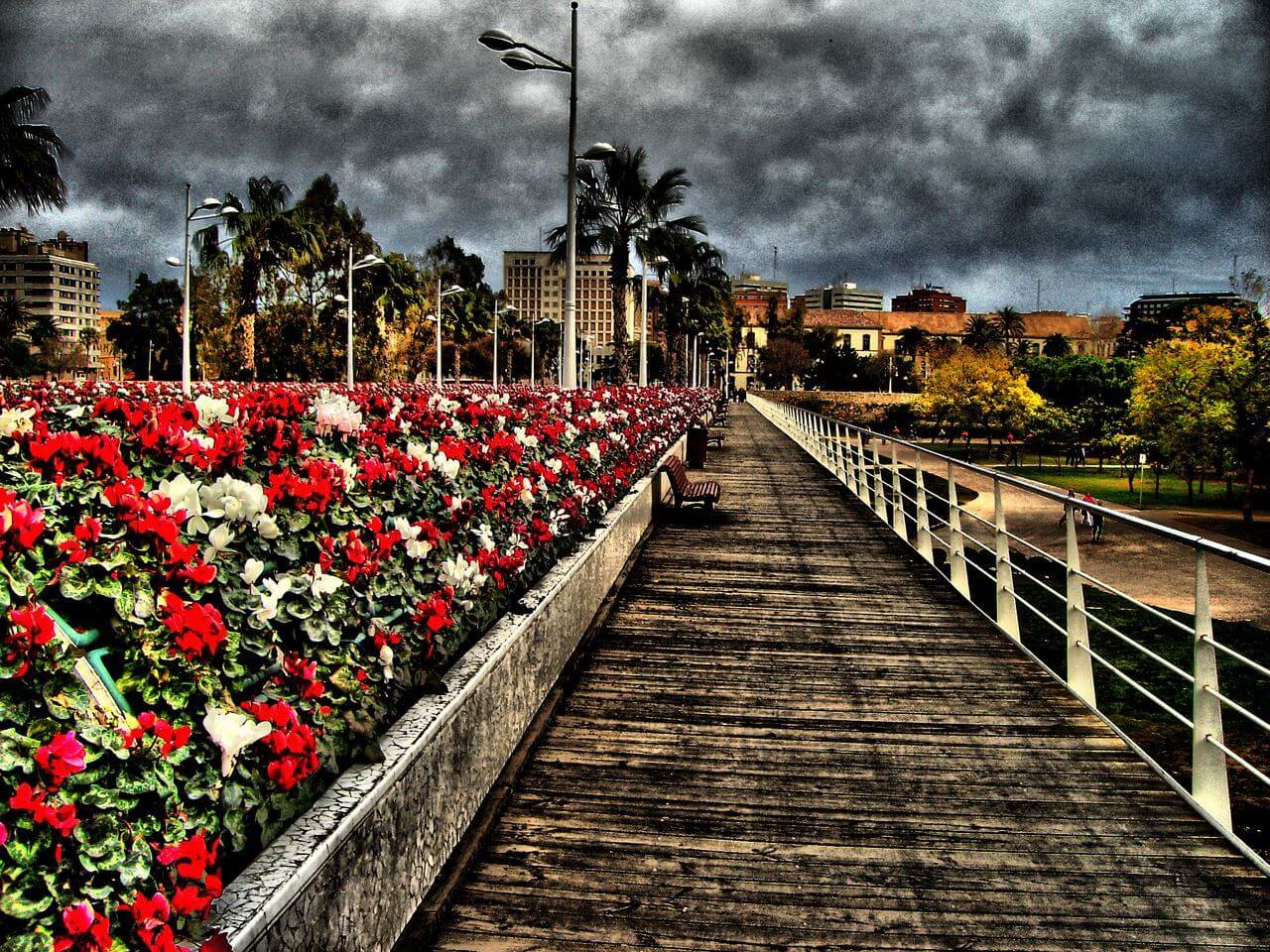 Мост цветов в Валенсии, Цветочный Мост, город Валенсия