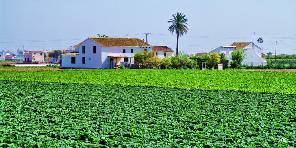 Земледельческие угодья Валенсии, что сразу на выезде из города называют «зелёным поясом», так как именно эта зона снабжает свежими продуктами жителей провинции.