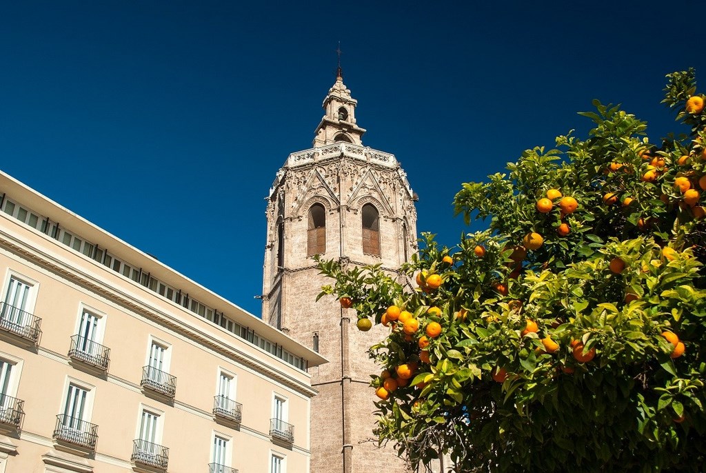 10 интересных фактов о Кафедральном соборе Валенсии