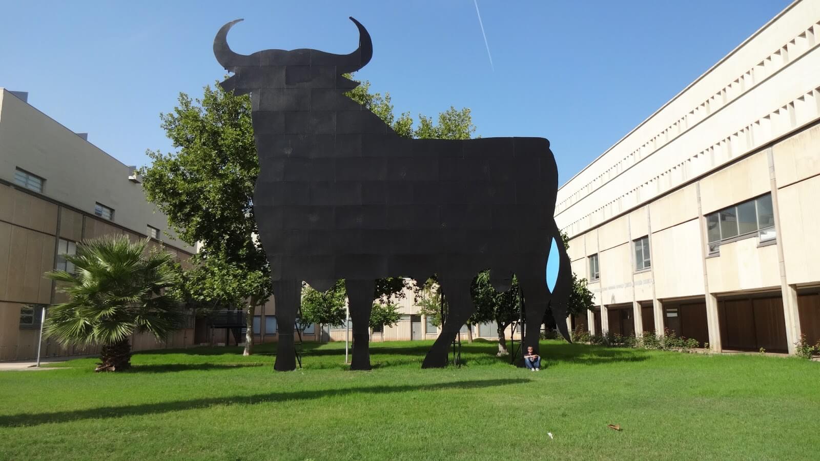 Какое отношение имеет рекламный символ спиртного напитка Osborne к Политехническому университету Валенсии? Что делает бык на территории валенсийского политеха?