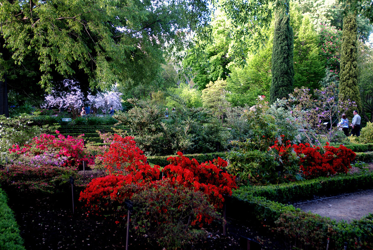 Ботанический Сад, туризм в Валенсии, город Валенсия, Валенсия, университет Валенсии, Botanicheskiy sad Valensii