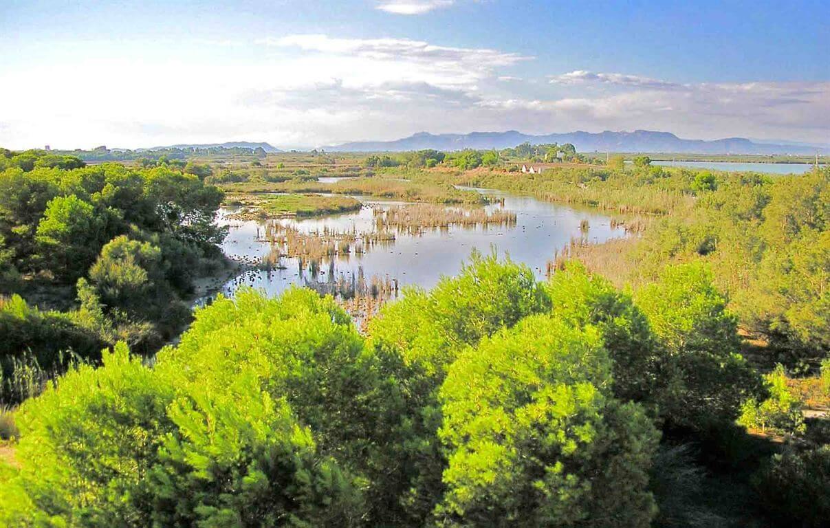 болото Rafalell и Vistabella в Валенсии